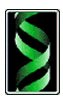 Biodenix Technologies Inc.
