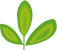 Leaf Cluster