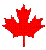 Canadian Maple Leaf