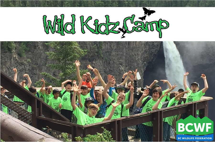 Register Now Bc Wildlife Federation
