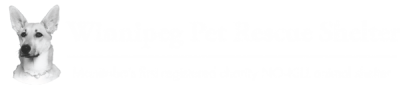 Winnipeg Pet Rescue Shelter