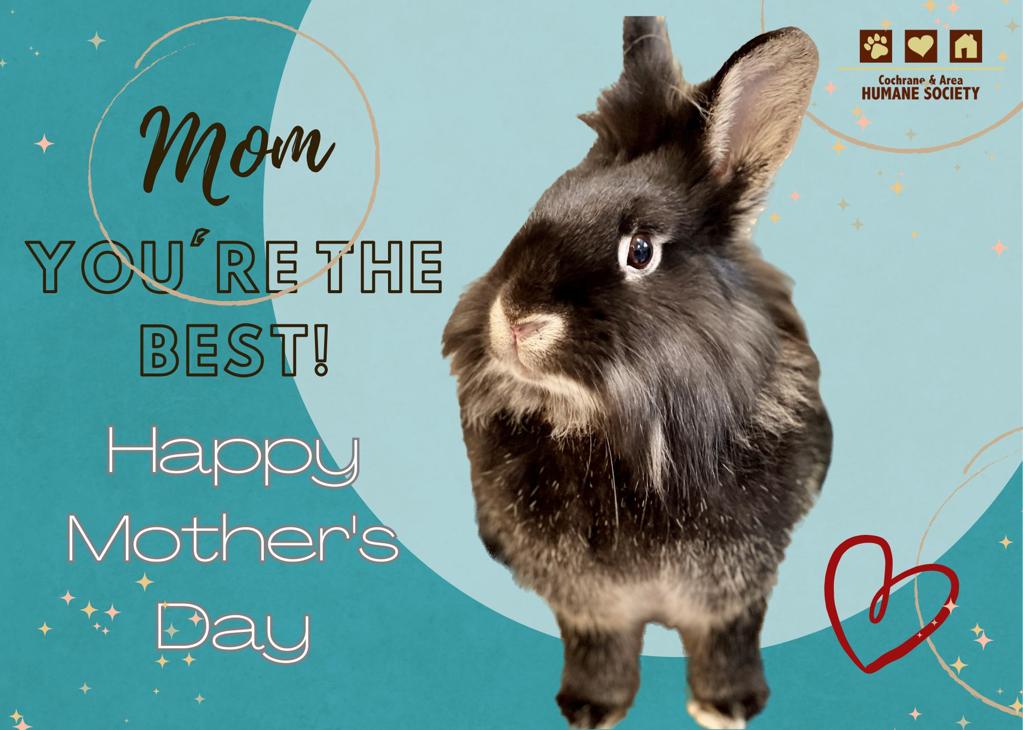 Mother's Day Bunny