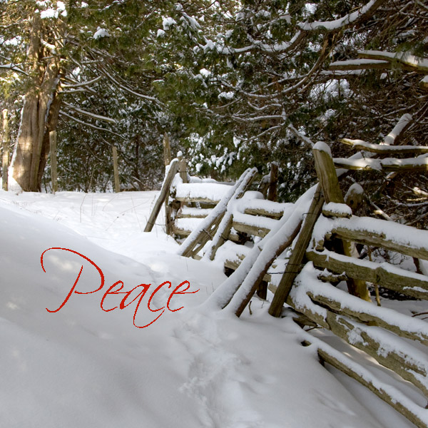 Winter Peace