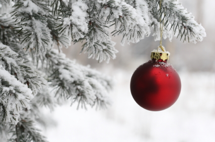 Pine Tree