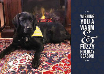 Wishing You A Warm & Fuzzy Holiday Season