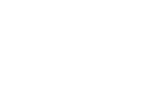 Rebound Sarnia-Lambton