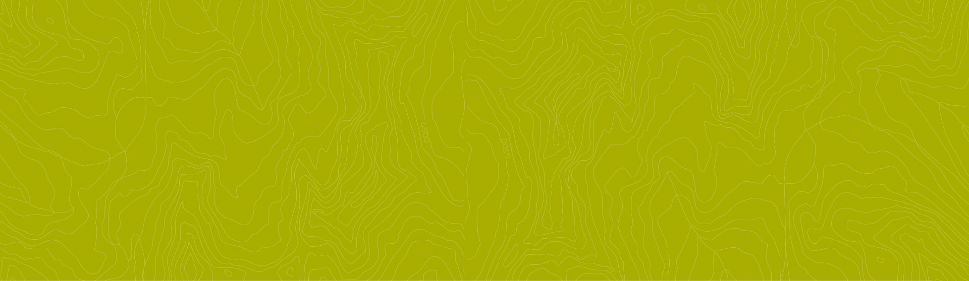topography-white-on-green.jpg