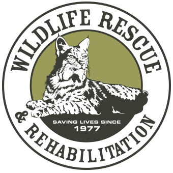 Wildlife Rescue & Rehabilitation
