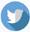 /charities/www.wrdss.ca/athon/v1/flat-shadow-twitter-icon2.png